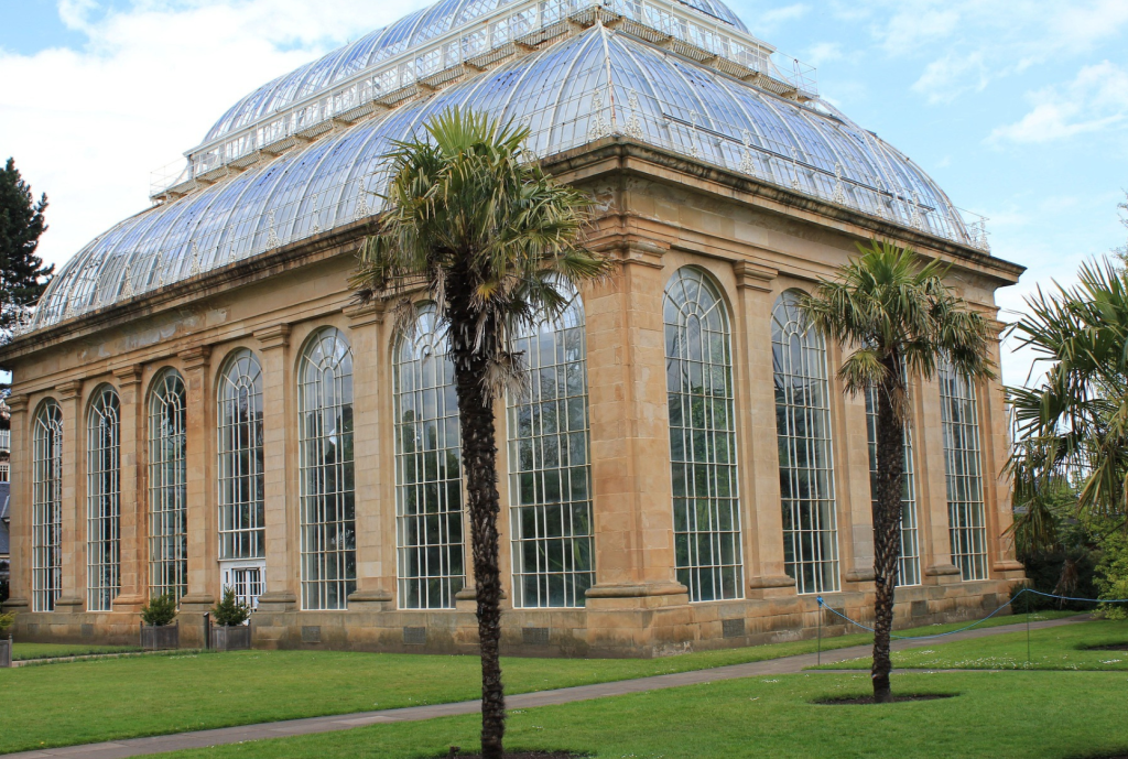 Greenhouse at the Royal Botanic Garden Edinburgh, filled with a diverse collection of vibrant plants and flowers.
