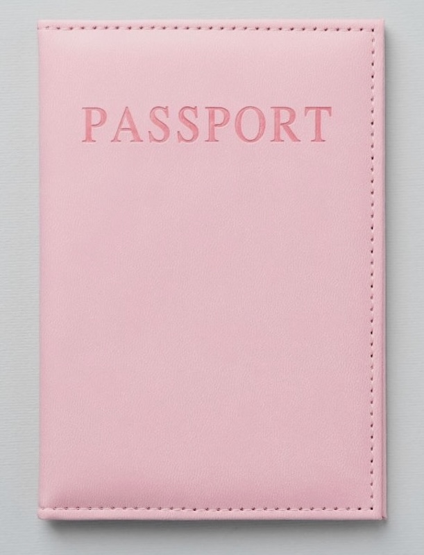 Light pink faux leather passport holder with the word “PASSPORT” embossed on the front. A chic and protective passport case as a travel stocking stuffer.